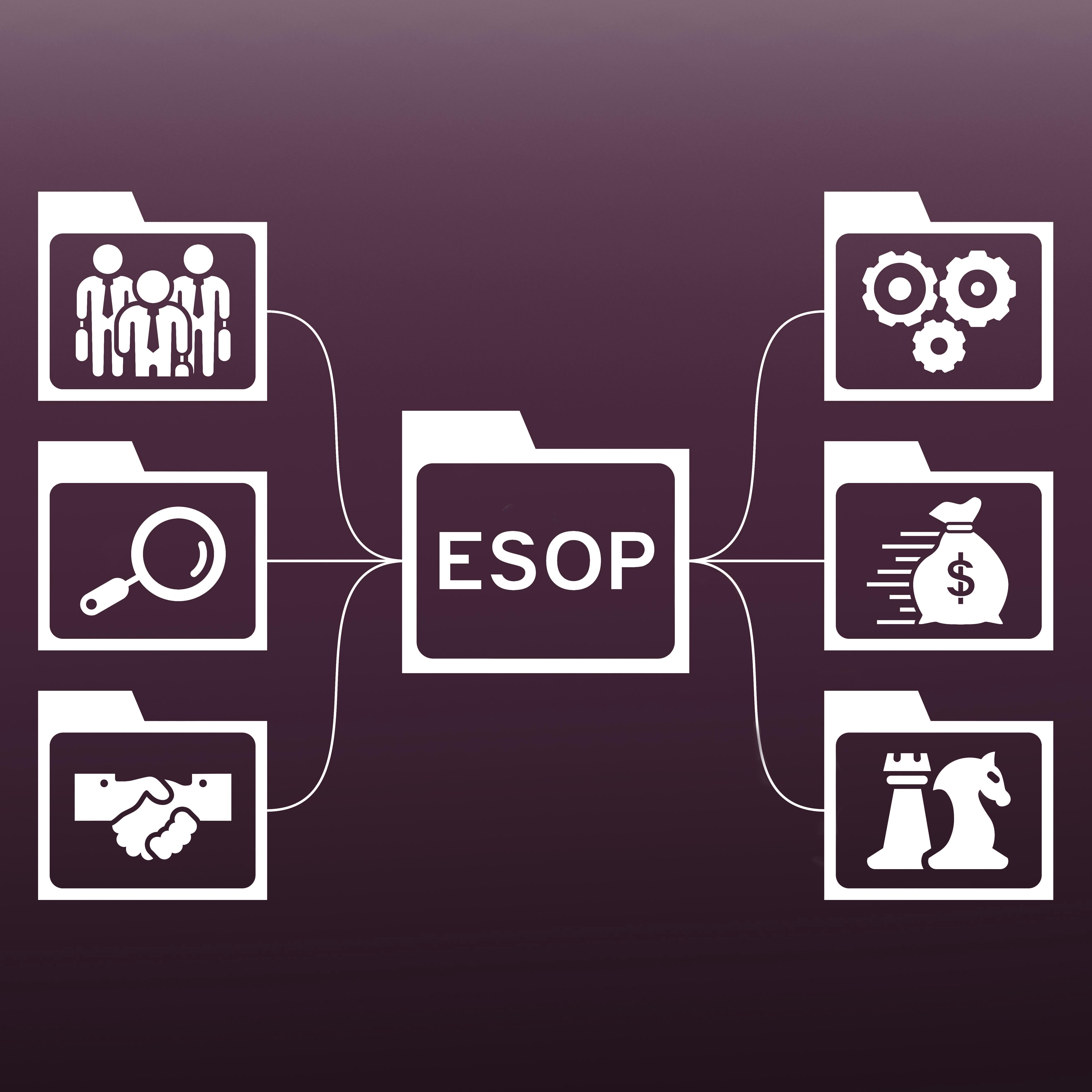 Understanding the ESOP Buyout Process: A Guide to Financing, Valuation, and Ownership Transfer in Employee Stock Ownership Plans
